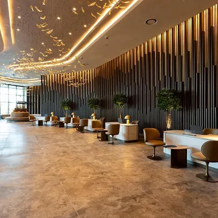 Ng Enjoy 5* 사판자